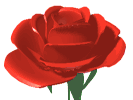 animated rose gif