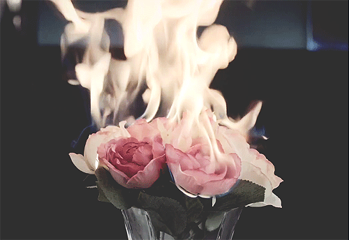 burning-rose-gif-2.gif
