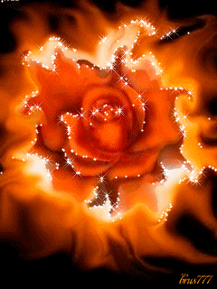 22 Amazing Roses Animated Gifs at Best Animations