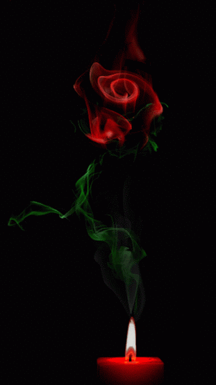 22 Amazing Roses Animated Gifs at Best Animations