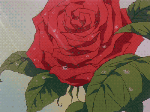 rose-animated-gif-2.gif