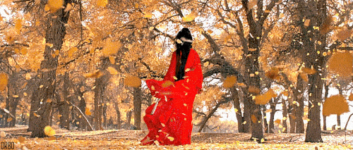 Remarkable Animated Fall Nature Gifs at Best Animations