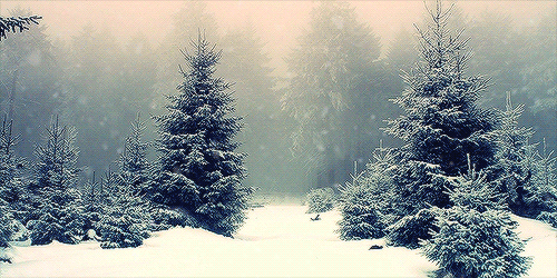 winter snow animated gifs nature snowing wonderland snowy forest animation christmas scene snowfall fall snowflakes rain lake trees down wonderful