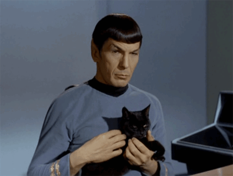 Amazing Animated Star Trek Gif Mix at Best Animations