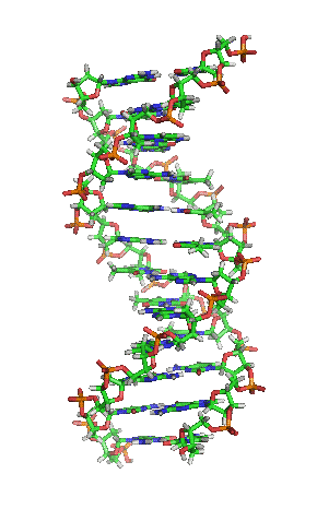 20 Great DNA Animated Gifs Best Animations 20 Great DNA Animated Gifs Best Animations
