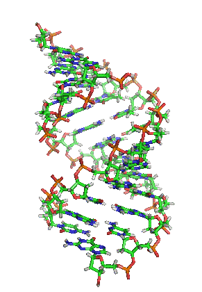 http://bestanimations.com/Science/Biology/DNA/dna-rna-double-helix-rotating-animation-5.gif
