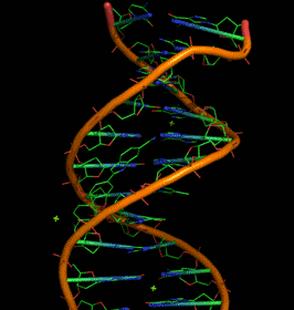 25 Great DNA Gif Animation Images - Best Animations