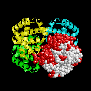 Protein Synthesis Animation Gifs At Best Animations