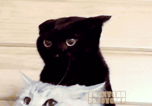 Great Animated Warning Danger Gifs At Best Animations