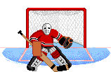 Great Animated Hockey Gifs at Best Animations