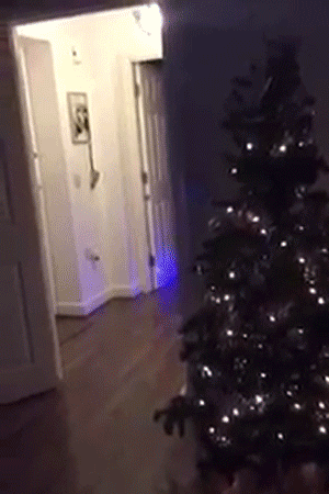 Merry Christmas Cute Funny Animated Gifs