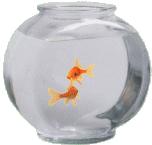 goldfishbowl-animation.gif