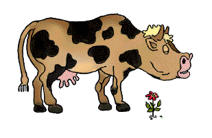 Funny Cow Animated  Gifs Best Animations