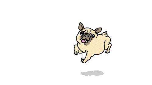 funny cute animated pug gif 32