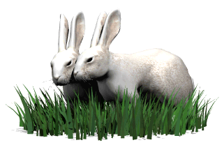Bad Bunny Cartoon Png : Funny Animated Bugs Bunny Cartoon Gifs At Best ...
