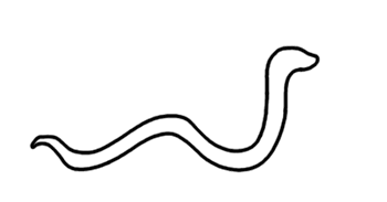 snake-animation-gif-6.gif