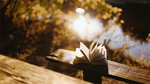 [Obrazek: pretty-book-bench-nature-water-outdoors-...ed-gif.gif]