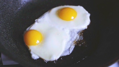eggs-fried-animated-gif-1.gif