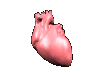 https://bestanimations.com/Humans/Organs/Heart-03-june.gif