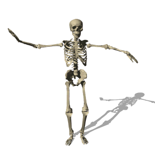 Resultado de imagen de skeleton dance gif