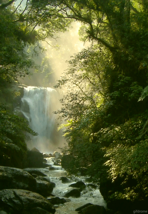 beautiful-forest-waterfall-rocks-nature-animated-gif.gif
