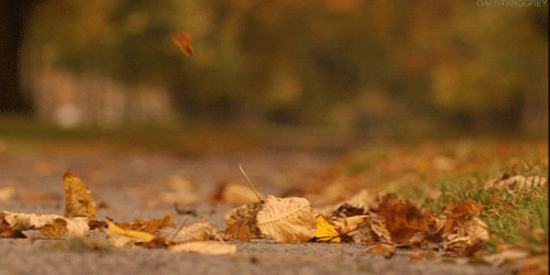 Remarkable Animated Fall Nature Gifs at Best Animations