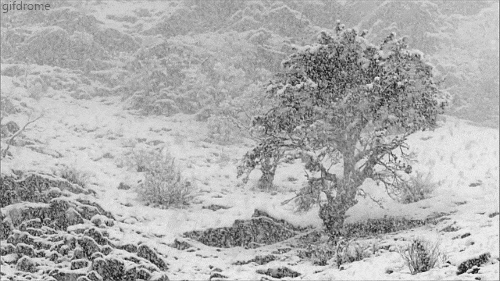 [Obrazek: winter-snow-nature-animated-gif-10.gif]