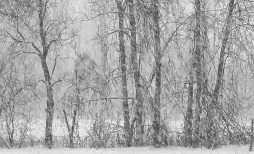 [Obrazek: winter-snow-nature-animated-gif-33.gif]