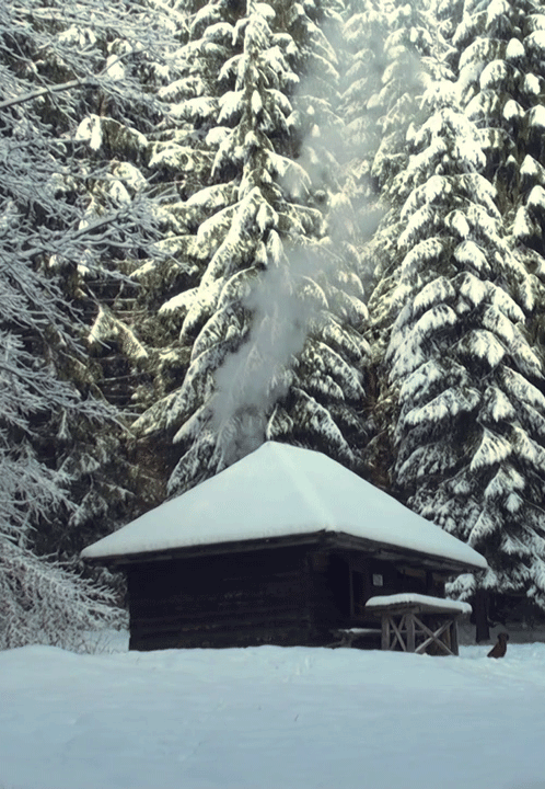 Snowing Animated Background Winter Gif Snow Animated Gifs Nature Cabin Snowy Snowing Christmas