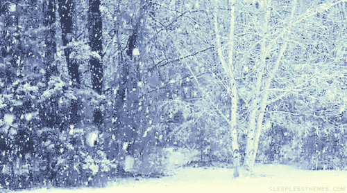 winter-snow-nature-animated-gif-8.gif
