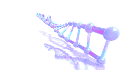 20 Great DNA Animated Gifs Best Animations