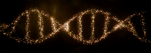 МОЛИТВЫ НОВОГО ВРЕМЕНИ Dna-rna-chromosomes-double-helix-rotating-animated-gif-9