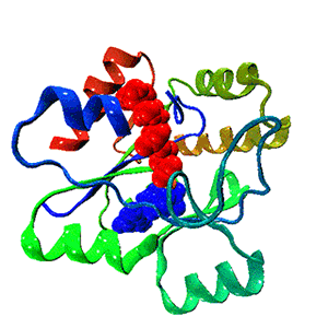 Structure Of Protein Gif