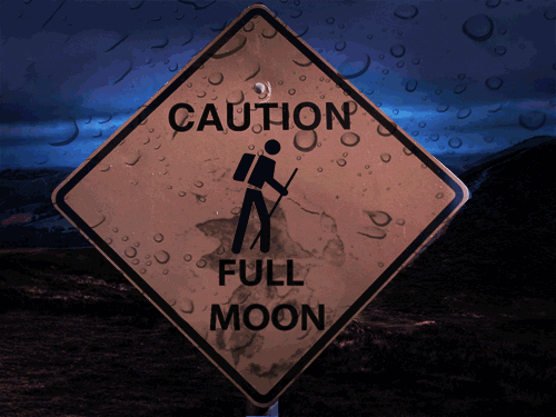 Caution Sign Gif Images - Best Animations