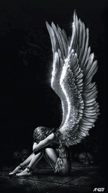 Black And White Angel Wings