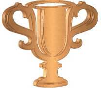 Bronze Award Trophy