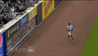 Yankees Baseball Amazing Catch