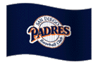 Padres Baseball Flag
