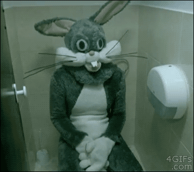 Funny Rabbit In Bathroom