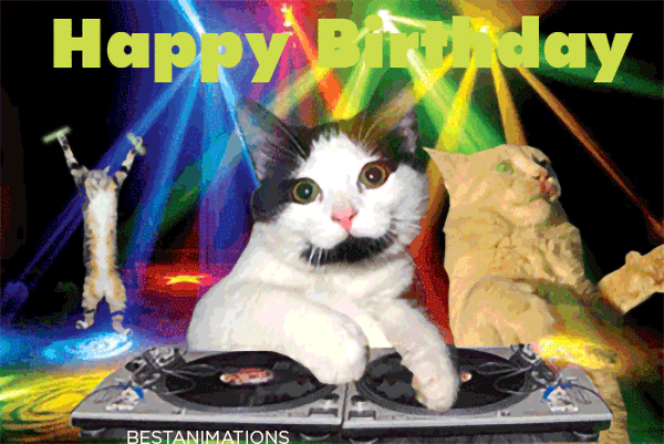 Funny Dancing Cat Birthday Gif
