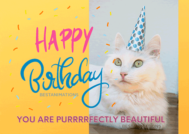 Pretty Kitty Happy Birthday Gif
