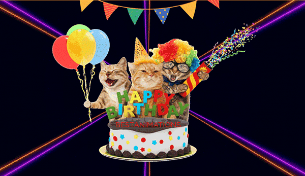 Funny Birthday Cake Cats Gif