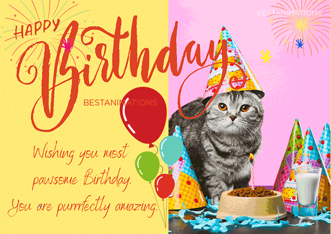 Most Pawsome Animated Birthday Cat Wishes