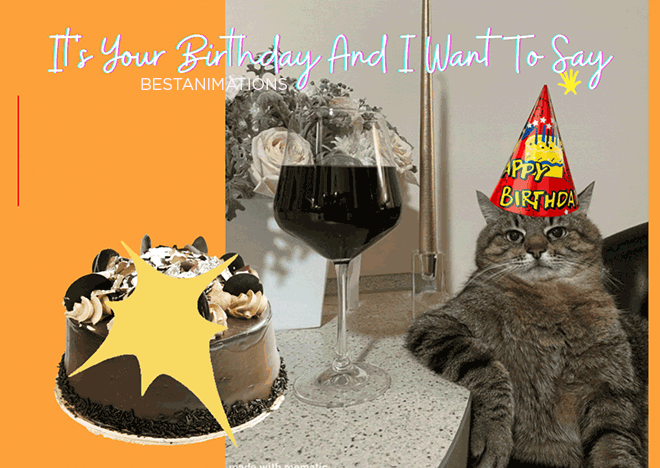 Funny Happy Birthday Cat Cheers gif