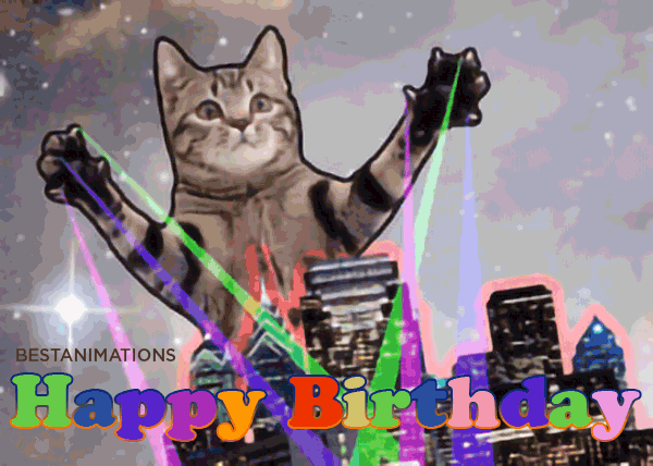 Funny Laser Cat Birthday Gif