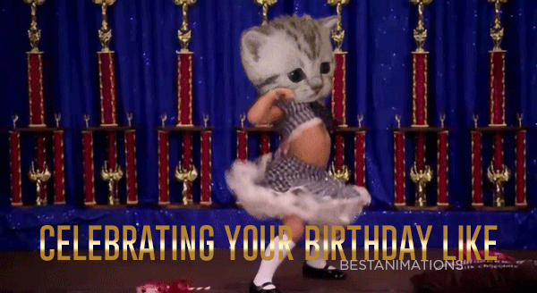Funny Dance Birthday Cat Gif