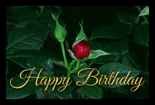 birthday gif