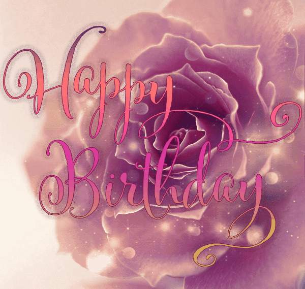Birthday Gift Pink Rose gif