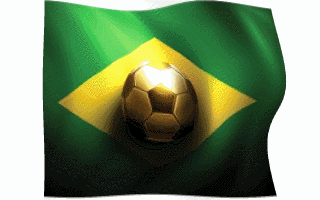 Brazilian Soccer Flag Waving