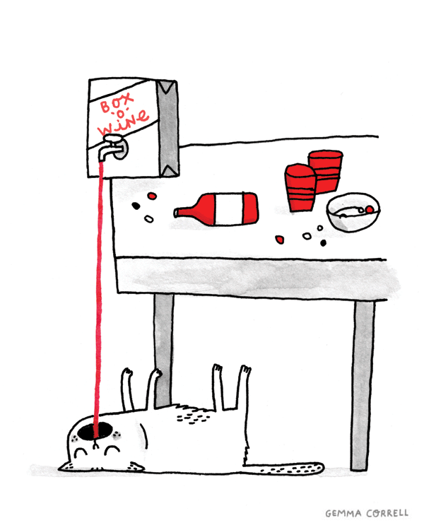 Cat Drink Red Wine